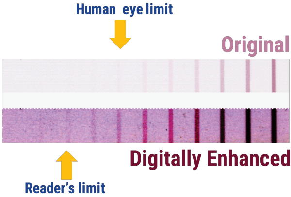 Cup Reader (2)(1).png